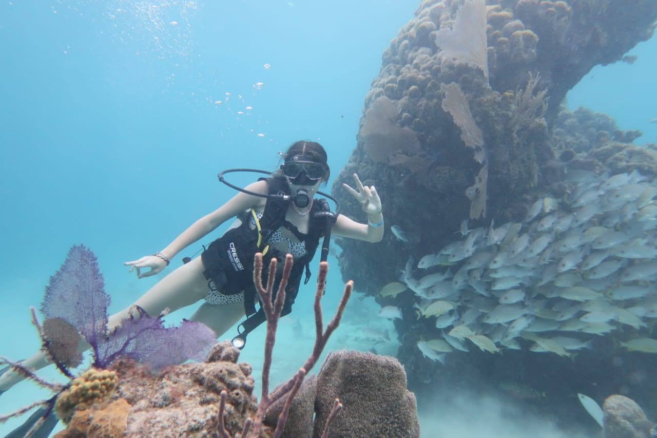 Diver on the Reef