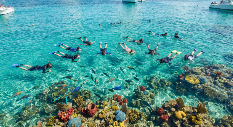 Private Snorkel Day (up to 12 passengers)